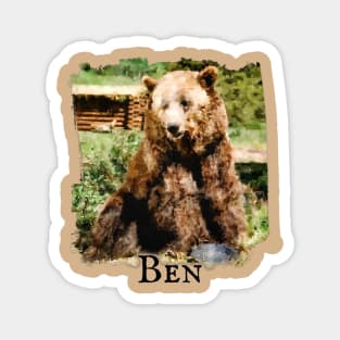 Ben the Bear Grizzly Adams Magnet