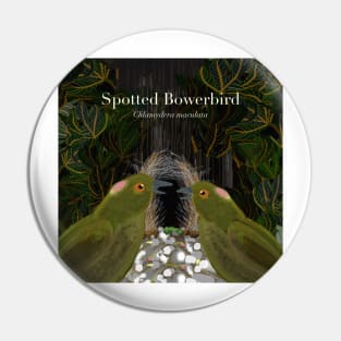 Spotted Bowerbirds (text) Pin