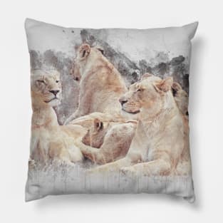 Lioness Lion Animal Wild Africa Jungle Safari Wildlife Pillow