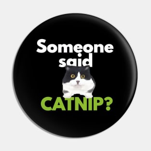 Kitten asks for catnip Pin