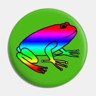 Bright Rainbow Frog Pin