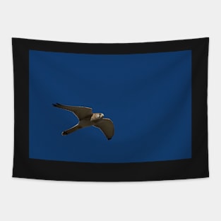 Flying Kestrel Tapestry