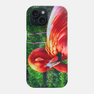 Flaming Flamingo Phone Case