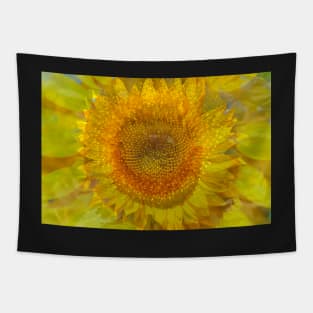 Sunflower, sunflower, abstract, (Helianthus annuus) Tapestry