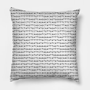 DNA sequence Pillow
