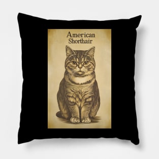 American Shorthair Cat Vintage Wall Art Pillow