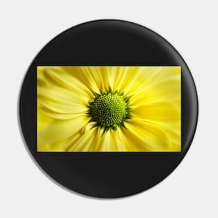 Yellow Daisy Pin