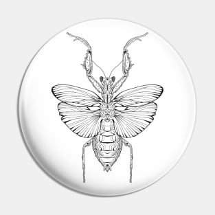 Neuroptera Pin