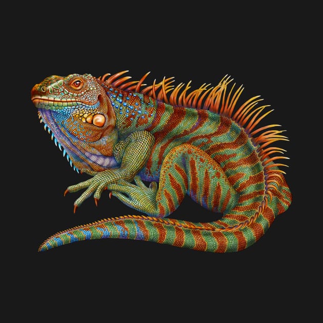 Iguana by Tim Jeffs Art