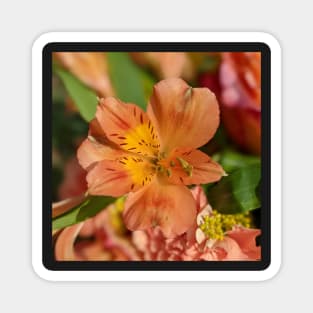 Flower in a bouquet photographic image Magnet