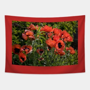 Blood Red Backlit Poppies - rework Tapestry