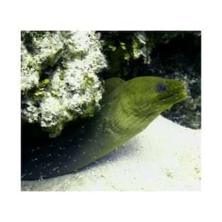 Green Moray Eel T-Shirt