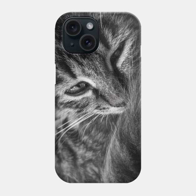 moody kitten b&w Phone Case by psychoshadow