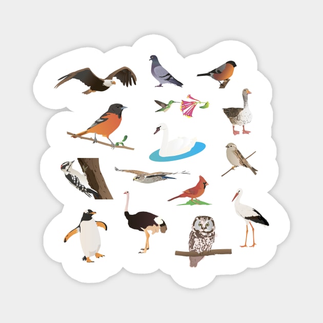 Various Birds Magnet by NorseTech