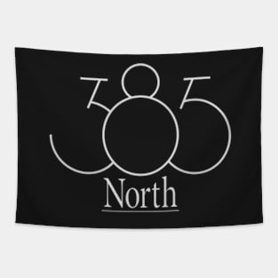 385 North Tapestry