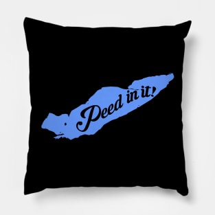 Lake Erie Life Pillow