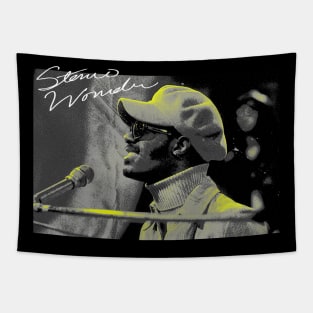 Stevie Wonder Singer Grey Tapestry