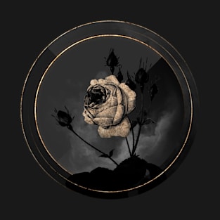 Shadowy Blooming Cabbage Rose Botanical on Black and Gold T-Shirt