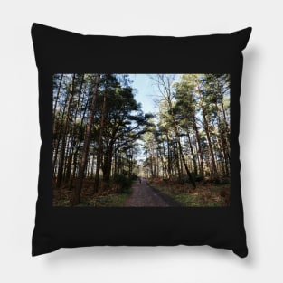 Cycling at Swinley Forest among the woods Pillow