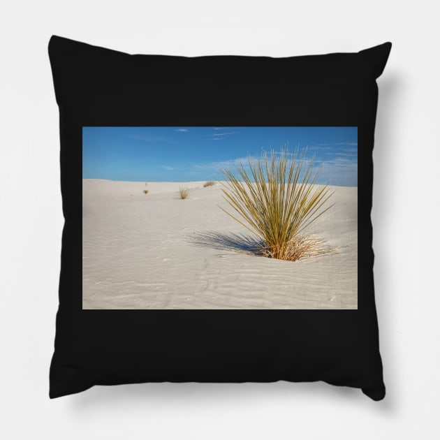 Yucca at White Sand Pillow by jvnimages