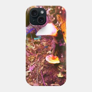 A Beautiful Place Phone Case