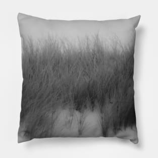 Lyme Grass 1 Pillow