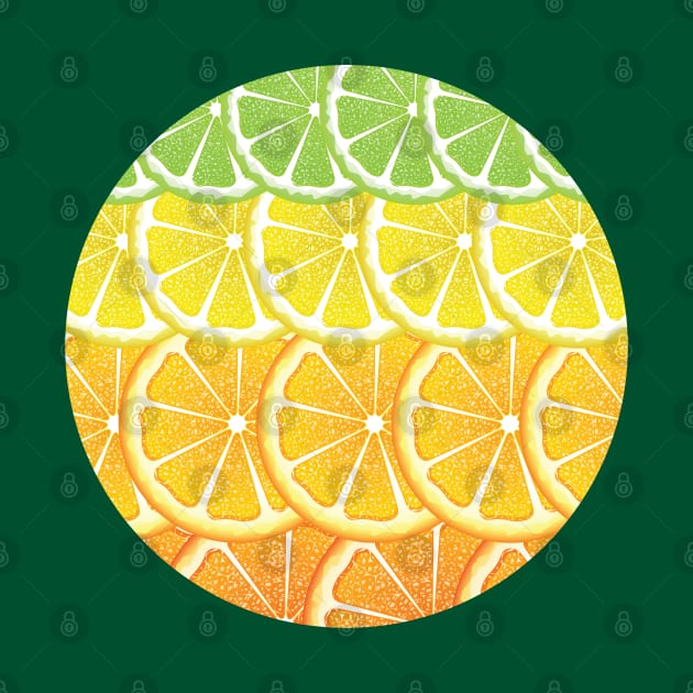 Various Citrus Slices by AnnArtshock
