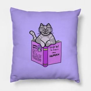 Cat author Pillow