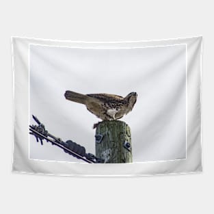 Proud Hunter Tapestry