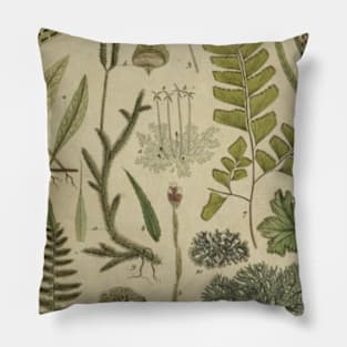 Ferns and Mosses Pillow