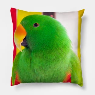 Male Eclectus Parrot (North East Australia) Pillow