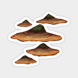 Shelf Mushrooms - Hymenochaetaceae Magnet