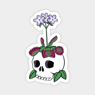 Skull Venus Flytrap Magnet