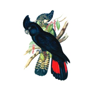 Black Cockatoo T-Shirt