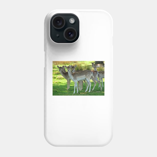 Fallow Deer Phone Case by RedHillDigital