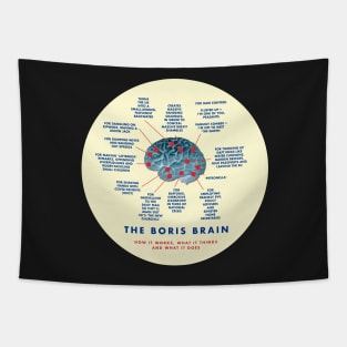 THE BORIS BRAIN - HOW IT WORKS, WHAT IT THINKS AND WHAT IT DOES Tapestry