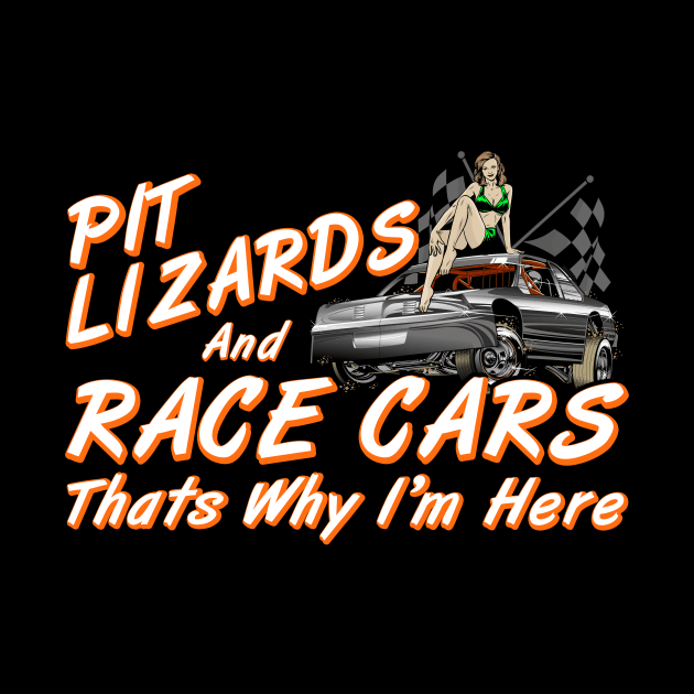 Funny Auto Racing by Nifty T Shirts