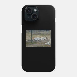 Tiger Phone Case