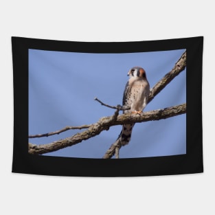 Kestrel Tapestry