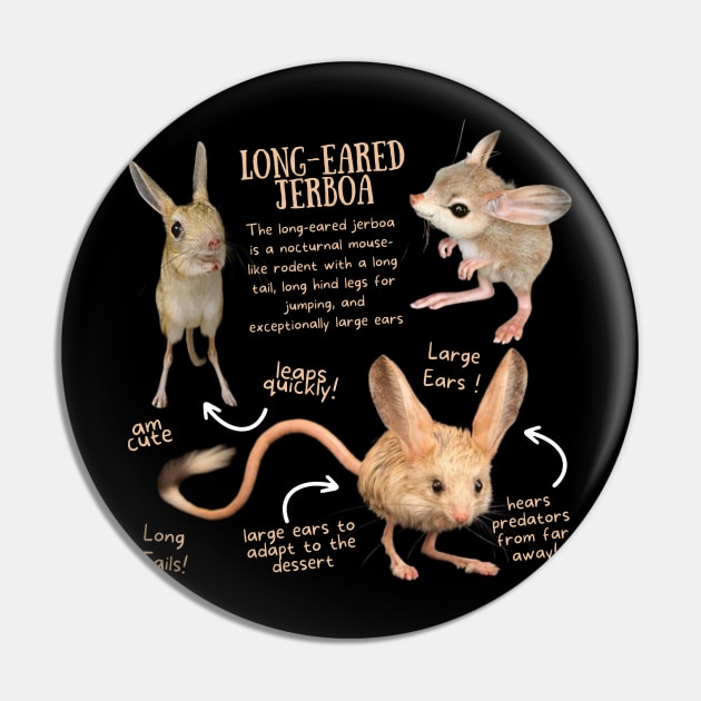 Animal Facts - Long-eared Jerboa Pin by Animal Facts and Trivias