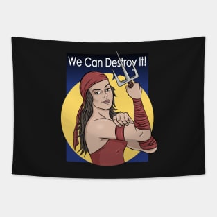 we can destroy it Tapestry