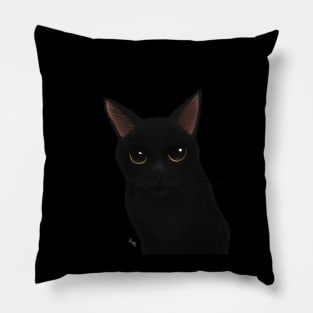 Black cat in black Pillow