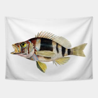 Musical Fish in G Flat Tapestry