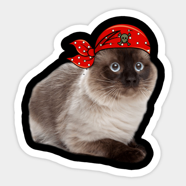 Balinese Cat Pirate Halloween Gifts Funny Cat Pirate Halloween