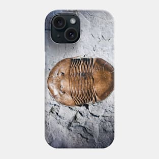 Fossil 2 Phone Case