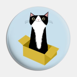 Cat in Box Pin