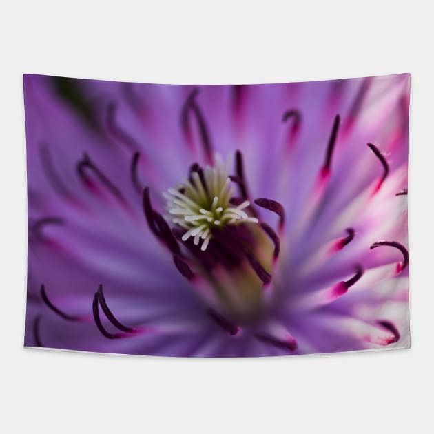 Purple Clematis Tapestry by JeanKellyPhoto