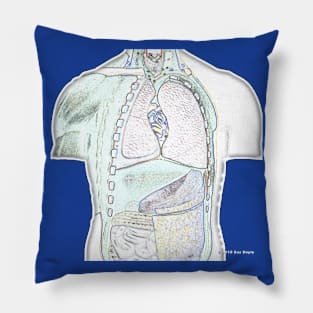 Mr. Guts: Anatomical Model Torso Art Pillow