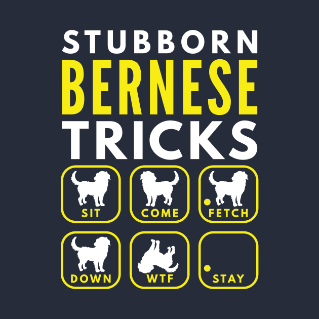 Stubborn Bernese Tricks - Dog Training by DoggyStyles