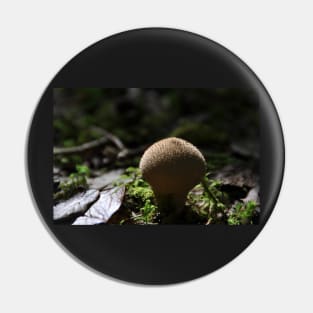 Fungi Pin